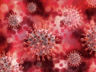 2 нови случая на коронавирус през изминалите 24 часа