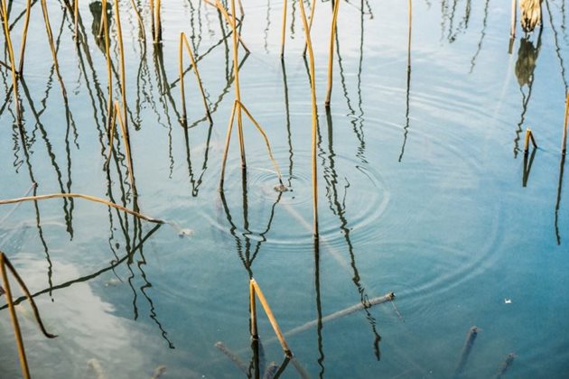 Експертите са извършили измервания на полеви показатели на място на повърхностна вода