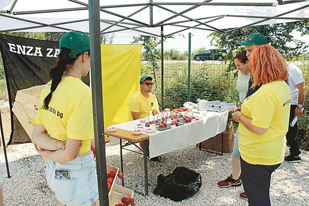 Зоната за дегустация на домати