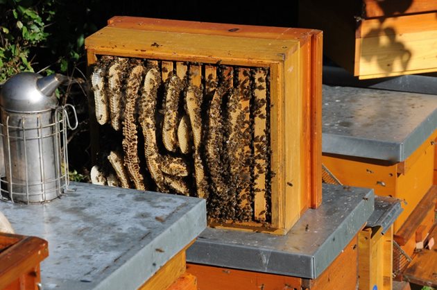Ето защо се налага на строителната рамка пчеларят да направи трето отделение.