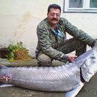 Рибарят Светослав Лозанов от Видин: Хващам чудовищата на Дунав!