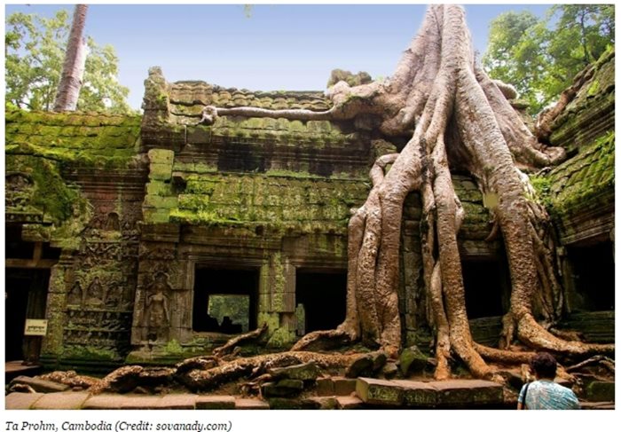 Храмът Та Пром, Камбоджа Снимка: forbes.com