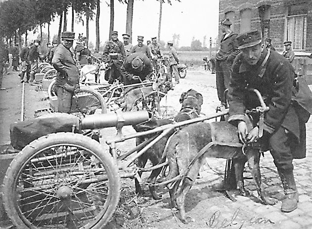 Белгийски войници с картечници, теглени от кучета