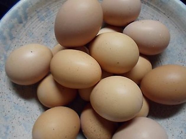 Годишно кокошките Брама снасят между 100 и 120 яйца с тегло около 50-65 г