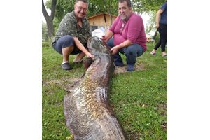 Двамата доктори с голямата риба
Снимки: Костадин Костадинов