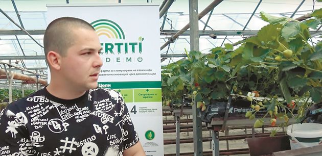 Пламен Маринов разяснява технологията на хидропонно отглеждане на ягоди в оранжерия