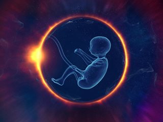 Учени създадоха 3D модел на триседмичен човешки ембрион