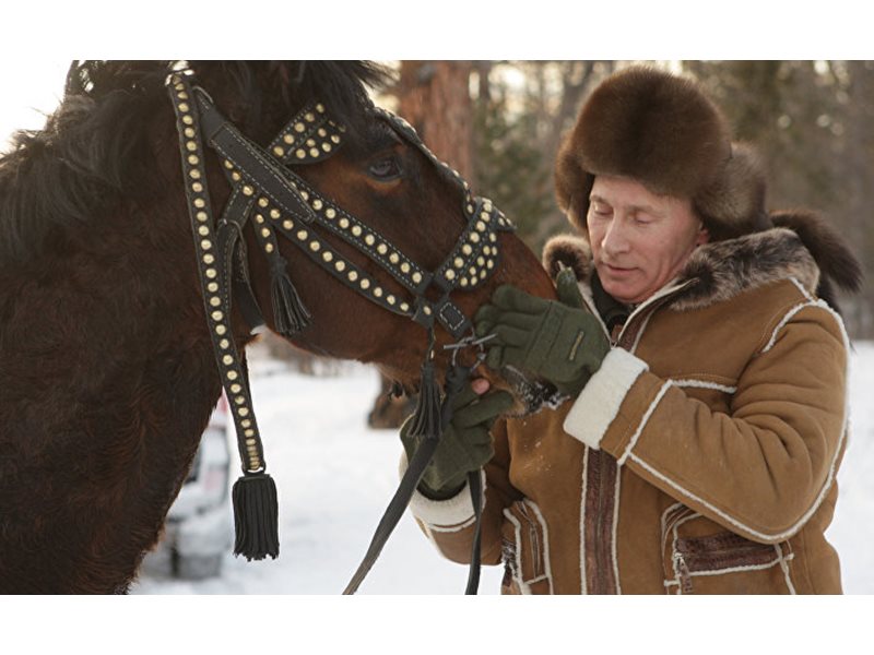 Фото путин на коне верхом