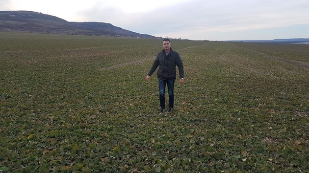 Петър Недков на оглед в рапичните полета на Севироизточна България
