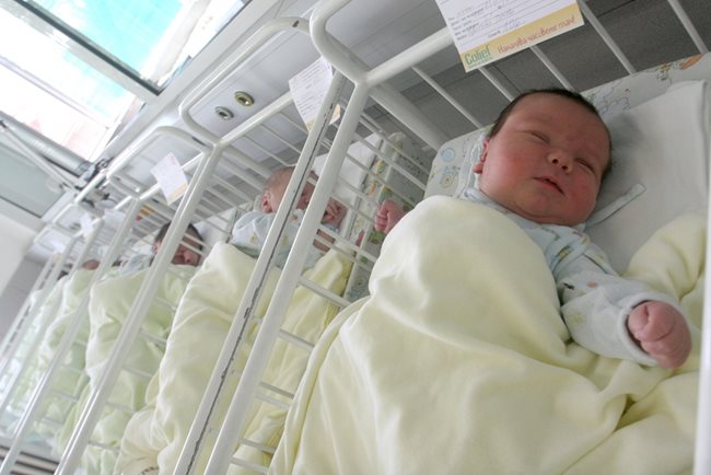 Първите бебета за 2019 г. в Пловдив, Варна, Русе и Бургас са момиченца.