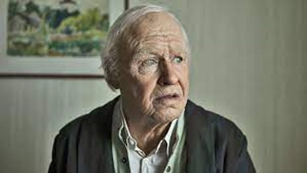 100-годишният швед Алан Карлсон скаче през прозореца на старчески дом исе впуска в серия от приключения. За тях има книга и е заснет филм през 2013 г.