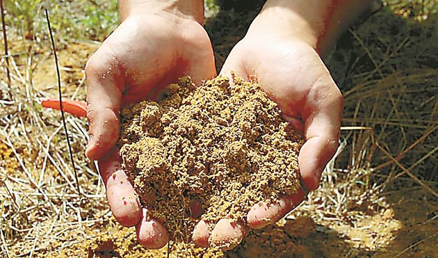 Доста тясна е връзката между почвите и гроздето