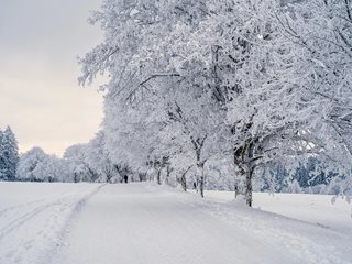 ПСС - Троян към туристите: Не тръгвайте към Централен Балкан