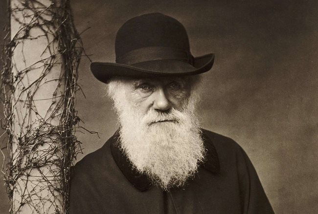 СНИМКА: Charles Darwin. English Heritage/Heritage Images/Getty Images