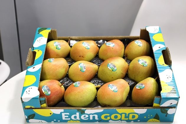 Eden Gold® - най-новият продукт на израелския селекционер Бен Дор