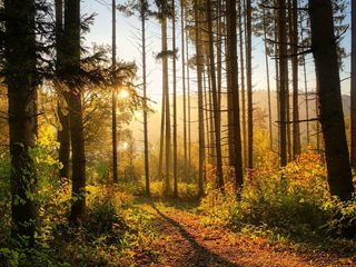 Утре ни очаква предимно слънчево време със слаб вятър