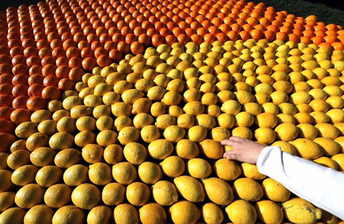Лимоните поскъпнаха най-много и по пазарите килограмът вече е над 4 лева.