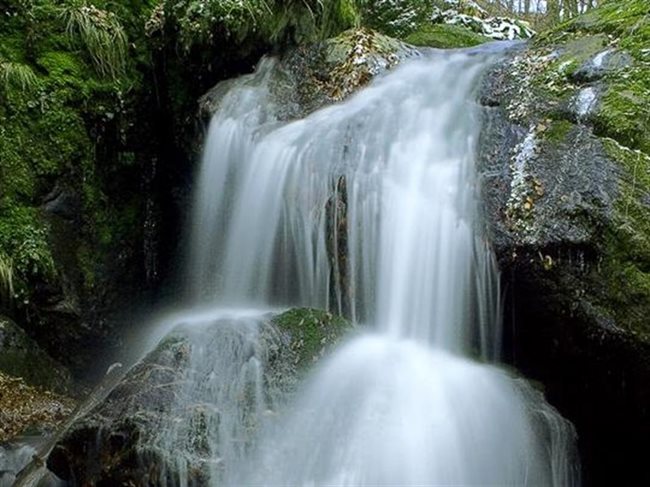 Хайдушките водопади, които виждате на снимката, се намират в рядко красивата долина на Голяма река, на 9 км от Берковица, където се събират водите на реките Ценкова, Сливашка и Средна бара. Неописуема е прелестта на това място край водопадите. На матово-зеления фон прекрасно хармонират покритите със сребристи лишеи и сладка папрат тъмни скали. 
Габриела Ценева, 12 год. София 
[kitaii4eto@abv.bg]