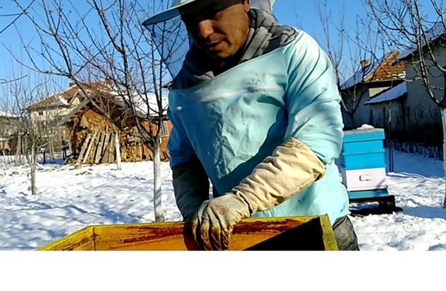 Ако пчеларят спазвайки всички изисквания за правилно отглеждане на пчелните семейства и своевременната профилактика на заразните заболявания може да сведе до минимум загубите при пчелните семейства от зимно-пролетна смъртност.