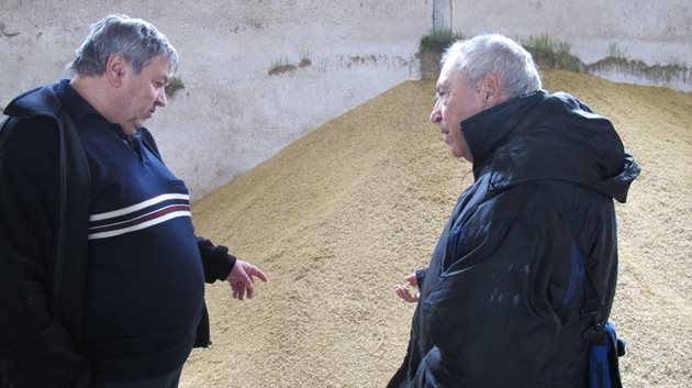 Стефан Найденов (вляво) с гордост показва произведения от него овес на проф. Михо Семков, консултант на в."Български фермер"