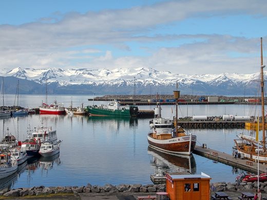 В Исландия преобразуват въглеродния двуокис от въздуха в камъни