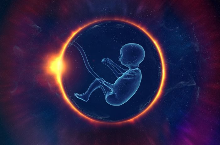 Учени създадоха 3D модел на триседмичен човешки ембрион
СНИМКА: Pixabay