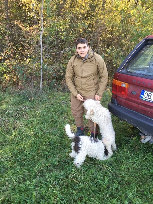 Цветозар Мичевски с перфектните си помагачи в търсенето на диворастящи трюфели - кучета италианска порода лагото романьоло