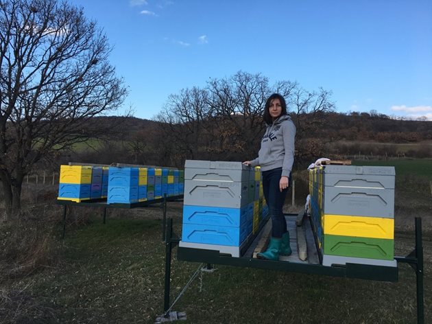 Павлина Кесерджиева отдавна не е хоби пчелар. За нея пчеларството е вече професия.