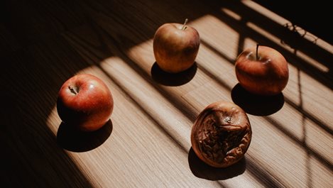 Теорията за гнилата ябълка – как вреди на работното място