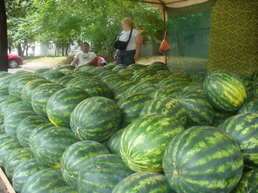 Пъпешите поскъпват, дините поевтиняват