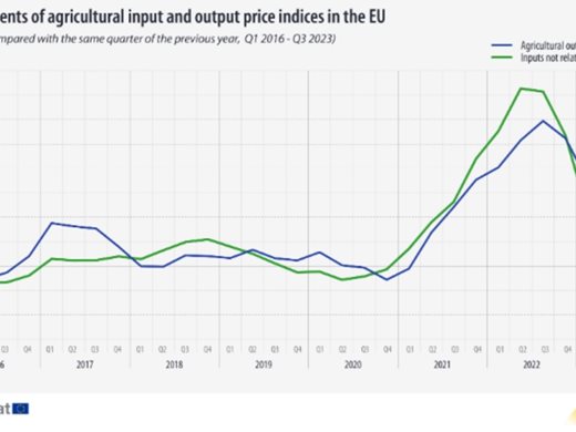Евростат: България бележи най-рязко поевтиняване на зърнените храни и млечните продукти в ЕС