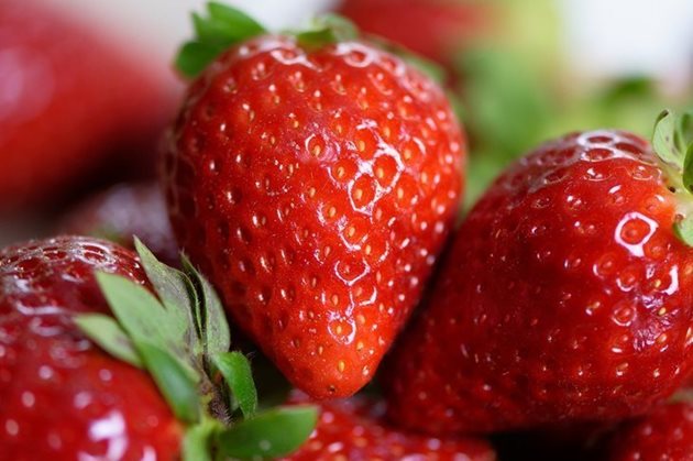 Нидерландската верига супермаркети Albert Heijn твърди, че нейните вериги за доставка на ягоди могат да бъдат "по-интелигентни и по-ефективни" благодарение на нов изкуствен интелект 
Снимка: Albert Heijn