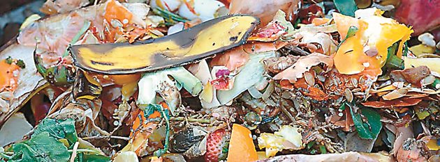 Често зеленчуковите и другите градински отпадъци са силно замърсени с пясък, кал и пръст от почвата, в които се намират огромно количество микроорганизми, кърлежи, червеи, яйца и спори от различни болестотворни паразити.