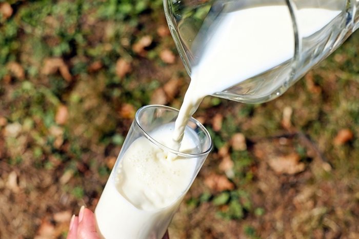 20 млекопреработвателни фирми показаха продукцията си на първия национален събор "Млечният път на България през вековете". Снимка: Pixabay