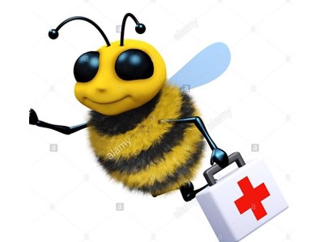 През март започват третиранията на пчелните семейства с медикаменти срещу вароатозата. Дозата на употребяваните медикаменти трябва да се спазва.
