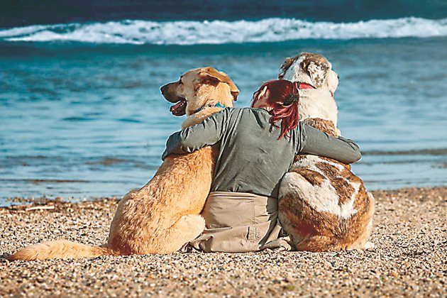 С кучета на плаж.
