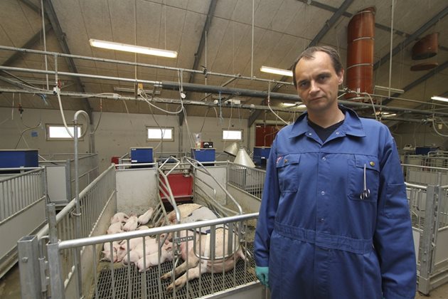 Според старши научният сътрудник д-р Петер Тийл от Катедрата по животновъдни науки в университета Орхус традиционният начин на хранене на лактиращи свине-майки трябва да се промени