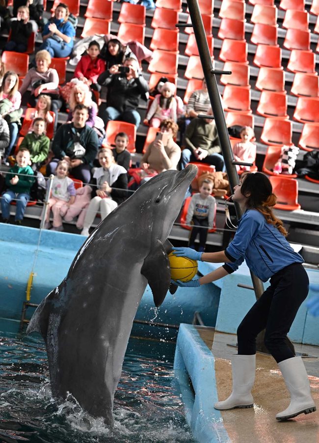 Варненският делфинариум СНИМКА: Орлин Цанев