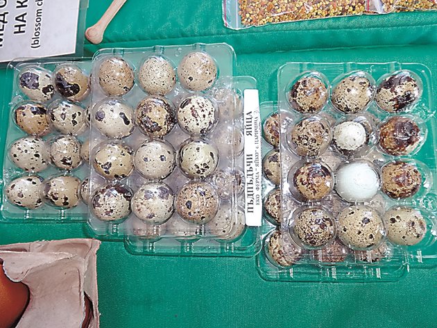 12 яйца се продават за 5 лв. и няма промяна в цената преди Великден