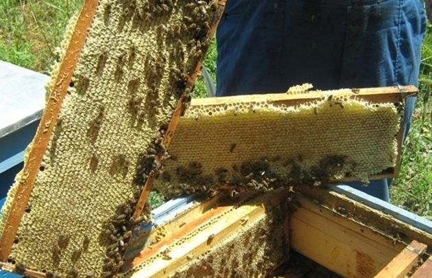 Пчелният восък е една от важните съставки
