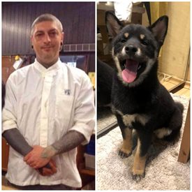 Шеф Петър Михалчев изгуби 4-месечното си кученце