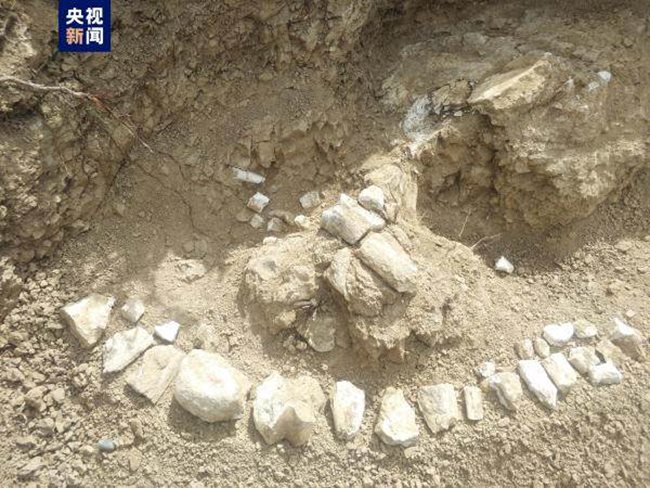 В Северозападен Китай бяха открити вкаменелости от хипариони.