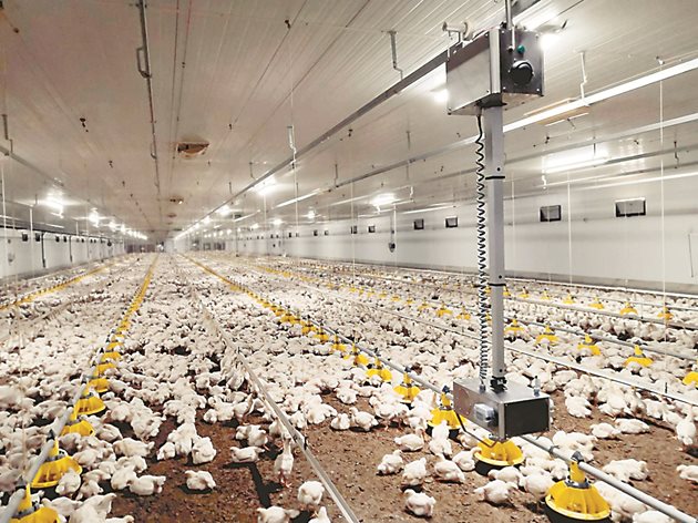  Faromatics е създателят на ChickenBoy – първият в света робот, окачен на тавана, който автономно наблюдава домашните птици