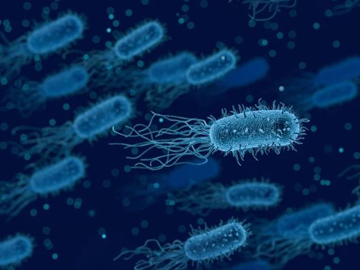 Учени изолираха непознати морски дълбоководни бактерии