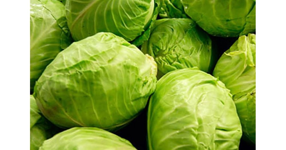 Uzbekistan's Early Cabbage Appears in Latvian Supermarkets at Higher ...