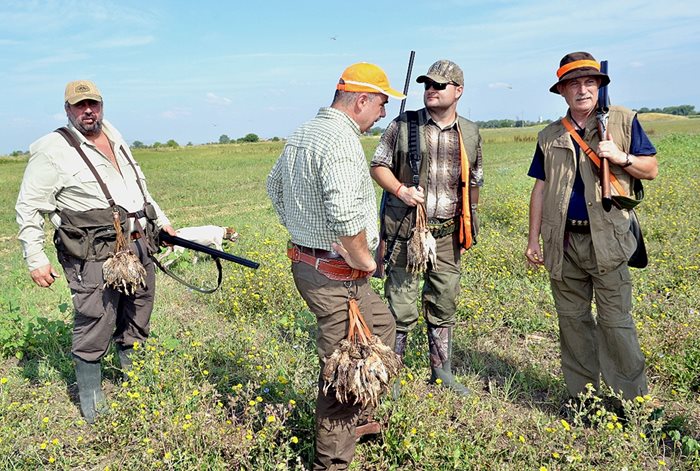 До 15 пъдпъдъка на човек е нормата за един излет.