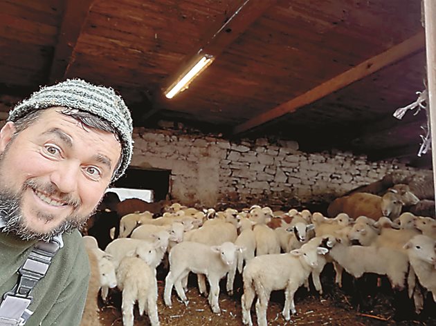 От лукс по света до обора на село, Юлиан Банков гледа традиционната за района Родопски цигай. Има и една медено-червена овца за късмет.