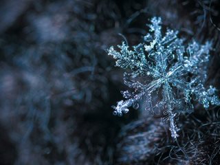 Валежи от дъжд и сняг ни очакват на 11 януари