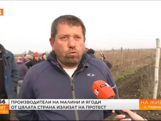 Протест на производители на малини и ягоди ще блокира пътя Разград - Търговище