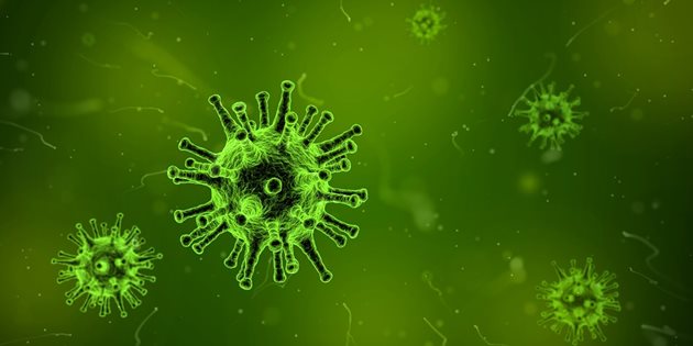 Регистриран е първи случай на грип тип В у нас
СНИМКА: Pixabay